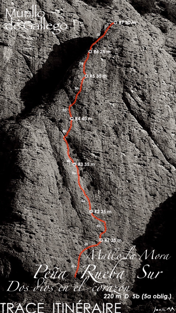 image_1